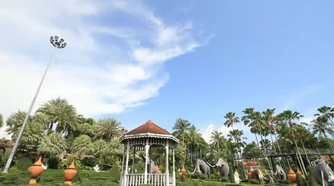 Garden 動画素材 11320033