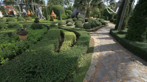 Garden 스톡 동영상 11322977