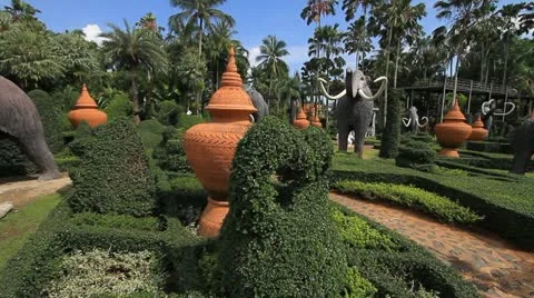 Garden Video stock 11330050