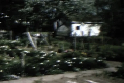 Garden Stock Footage 24671457