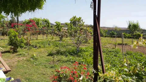 Garden Video stock 24675910