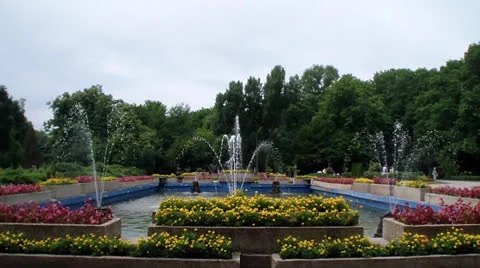 Garden 스톡 동영상 25041939