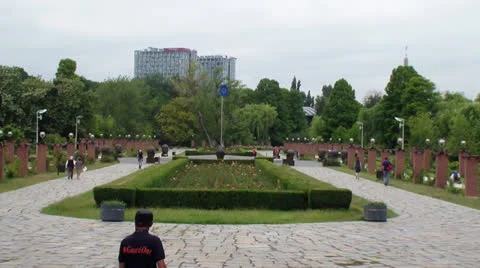 Garden Stock Footage 25041956