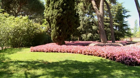 Garden Video stock 34668816