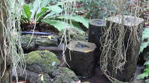 Garden Stock Footage 35006278