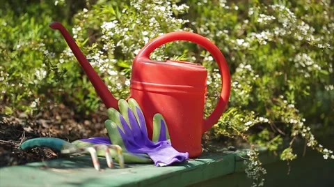 Garden Stock Footage 50613220
