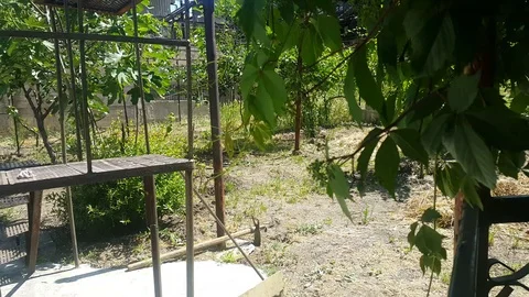 Garden Stock Footage 108731720