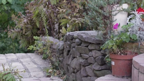 Garden Vídeos de archivo 119099237