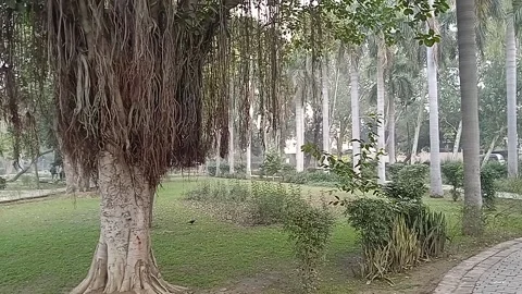 GARDEN Stock Footage 146702016