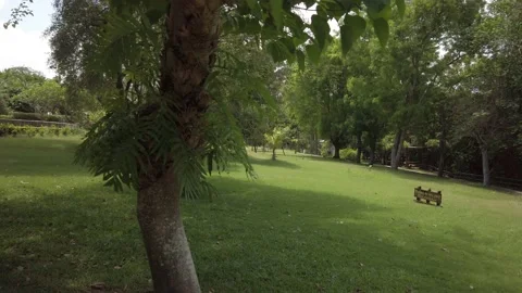 Garden Stock-Footage 221465064