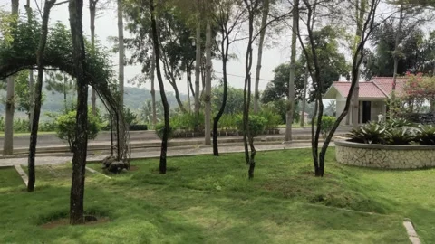 Garden Video stock 229916964