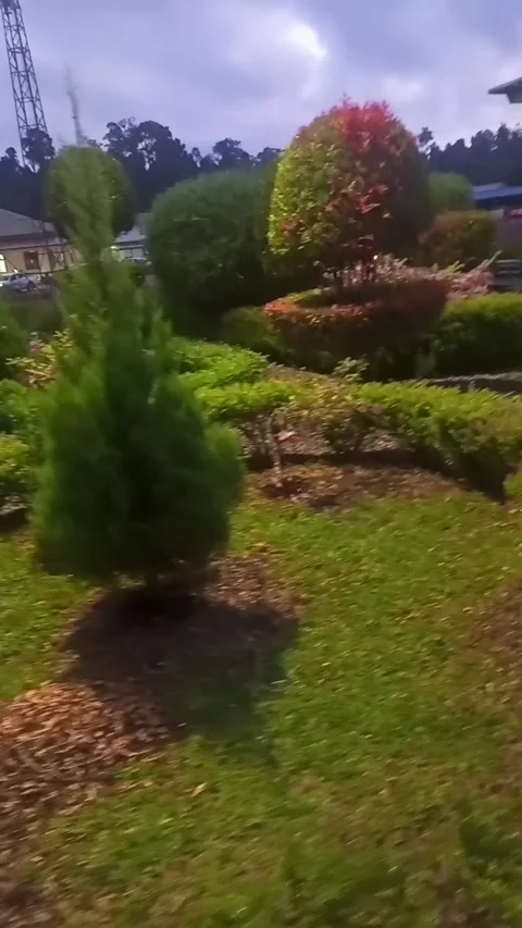 Garden 動画素材 236507884