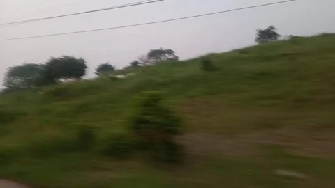 Garden Stock Footage 242032020