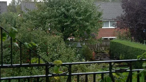 Garden Stock Footage 247447229