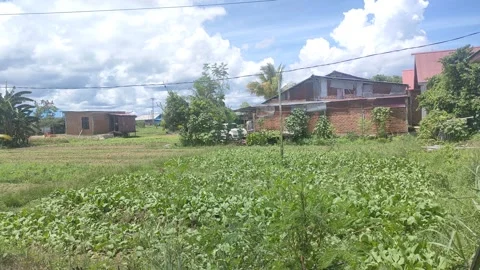 Garden Vidéo 271167278