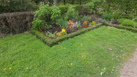 Garden Video stock 336726805