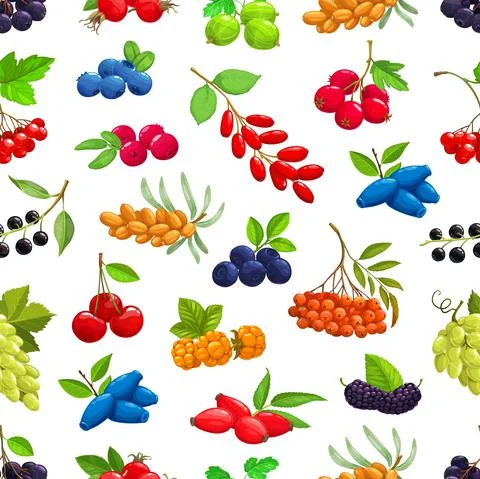 Garden, fores berries seamless pattern background Stock Illustration