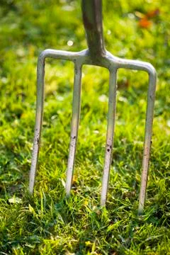 Garden fork in lawn Stock Photos