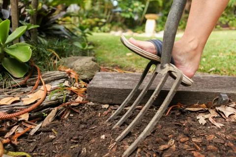 Garden Fork Stock Photos