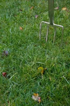 Garden Fork stuck in Grass Stock Photos