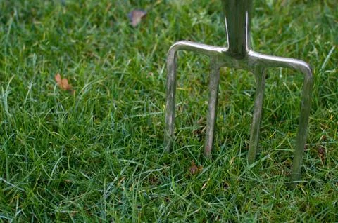 Garden Fork stuck in Grass Stock Photos