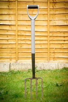 Garden Fork stuck in the ground. Stock Photos