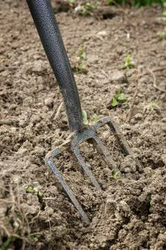 Garden Fork stuck in the ground. Stock Photos