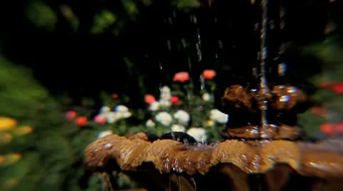 Garden Fountain - Warped View (Loop) Stock Footage 8986380