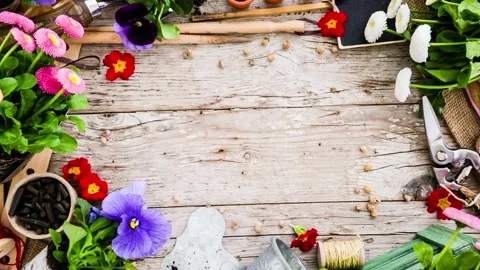 Garden frame background with plants and gardening tools. Stock Footage 132377189