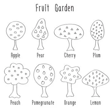 Garden fruit trees Stock Illustration