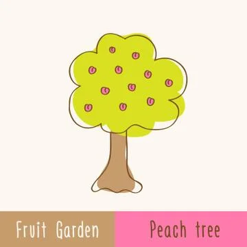 Garden fruit trees - single tree Stock Illustration