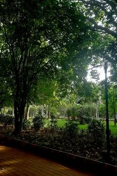 Garden Full of Greenery Stock Photos