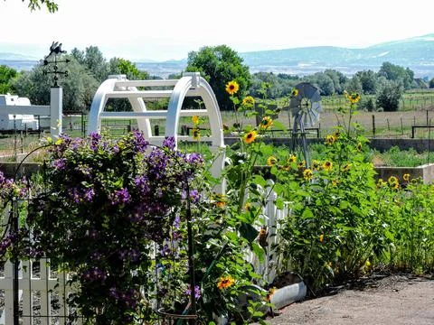 Garden Gate Stock Photos