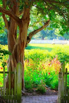 Garden Gate Stock Photos