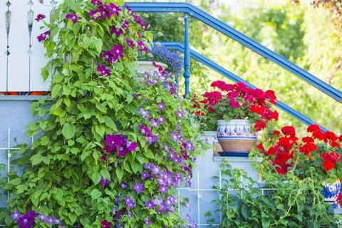 Garden Gate in the summer Stock Photos