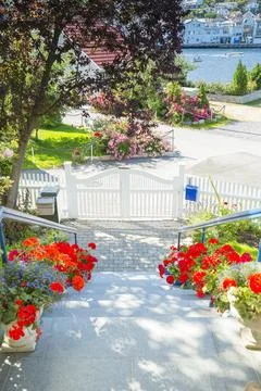 Garden Gate in the summer Stock Photos