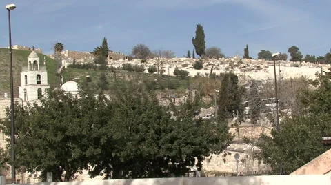 Garden of Gethsemane. Stock Footage 51572154