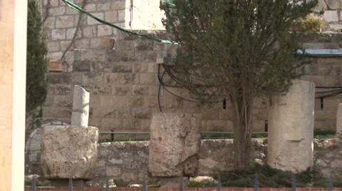 Garden of Gethsemane. Stock Footage 51574583