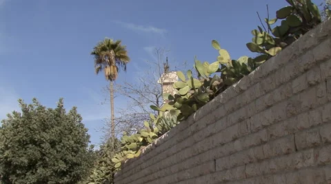 Garden of Gethsemane. Stock Footage 51576250