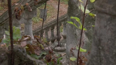 A garden with ghosts. Abandoned staircase. Stock Footage 89138146