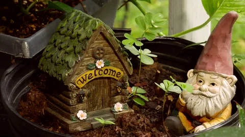 Garden gnome medium 스톡 동영상 201972002