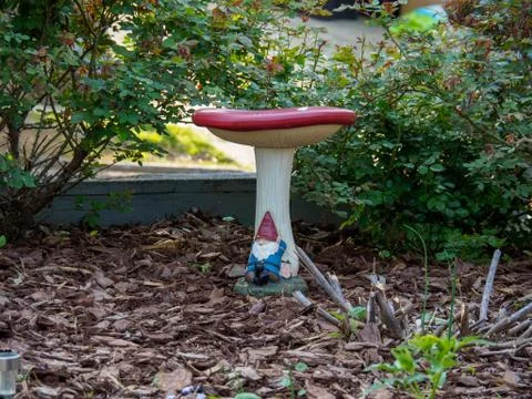Garden Gnome Sleeping in a Spring Garden 스톡 사진