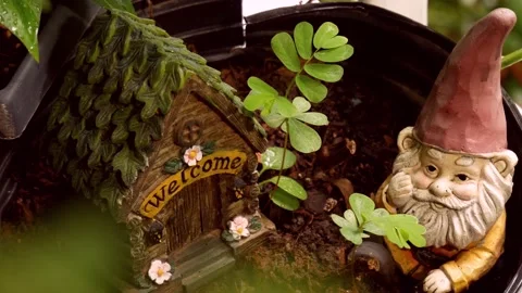 Garden gnome tight 스톡 동영상 201972026