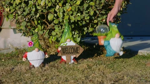 Garden gnomes figures Video stock 220208519