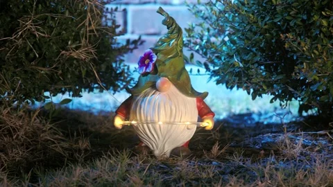 Garden gnomes figures Stock-Footage 220208573