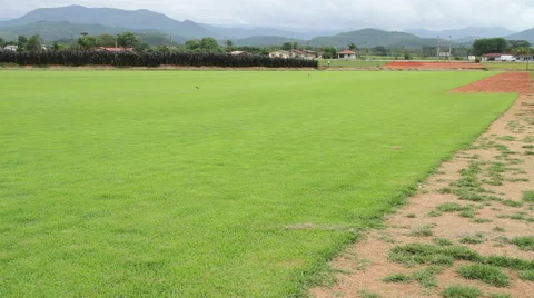 Garden grass production. 스톡 동영상 45955176