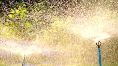Garden Grass Watering.grass automatic irrigation watering system,  動画素材 130499879