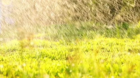Garden Grass Watering.grass automatic irrigation watering system,  動画素材 130501342