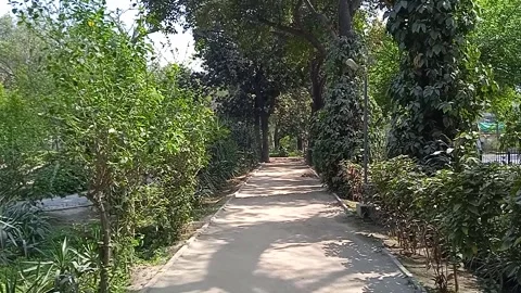 Garden green Stock Footage 150060886