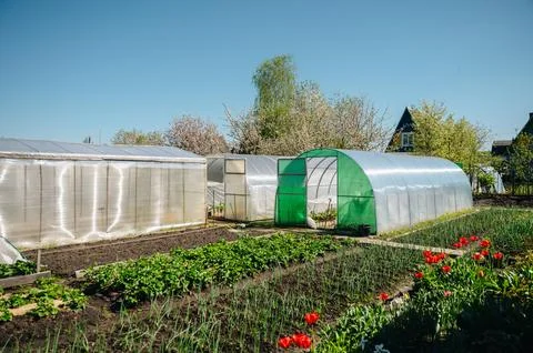 Garden greenhouse surrounded by fresh greenery in spring, ideal for agriculture Stock Photos